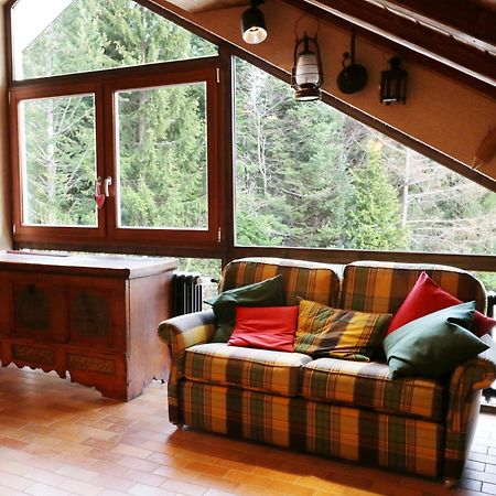 Fewo Schwarzwaldblick, 3 Schlafzimmer Todtnau-Muggenbrunn, Liftverbund Feldberg Exterior photo