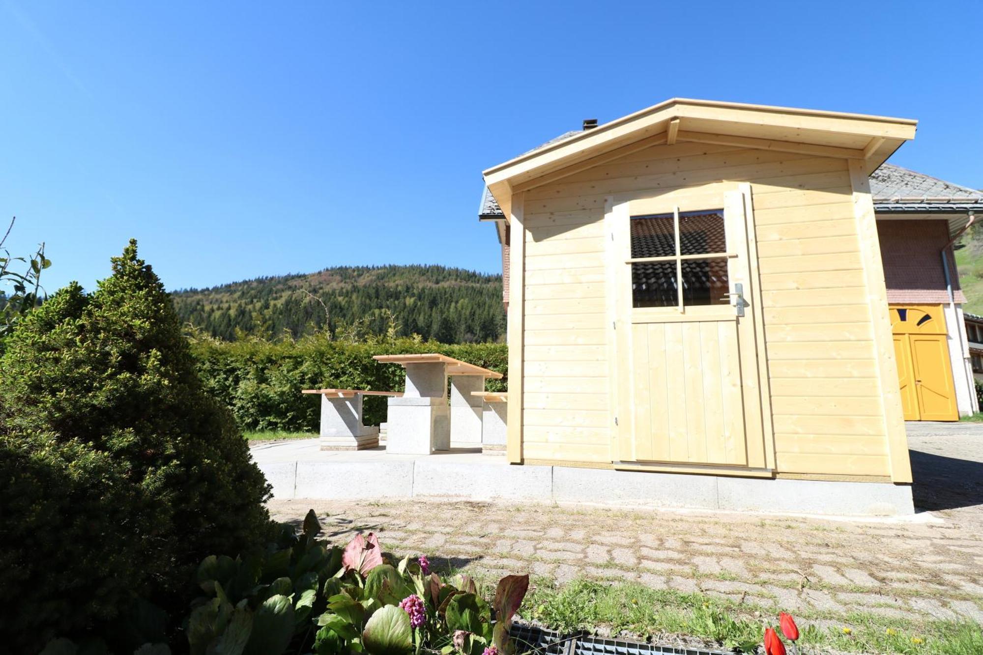 Fewo Schwarzwaldblick, 3 Schlafzimmer Todtnau-Muggenbrunn, Liftverbund Feldberg Exterior photo
