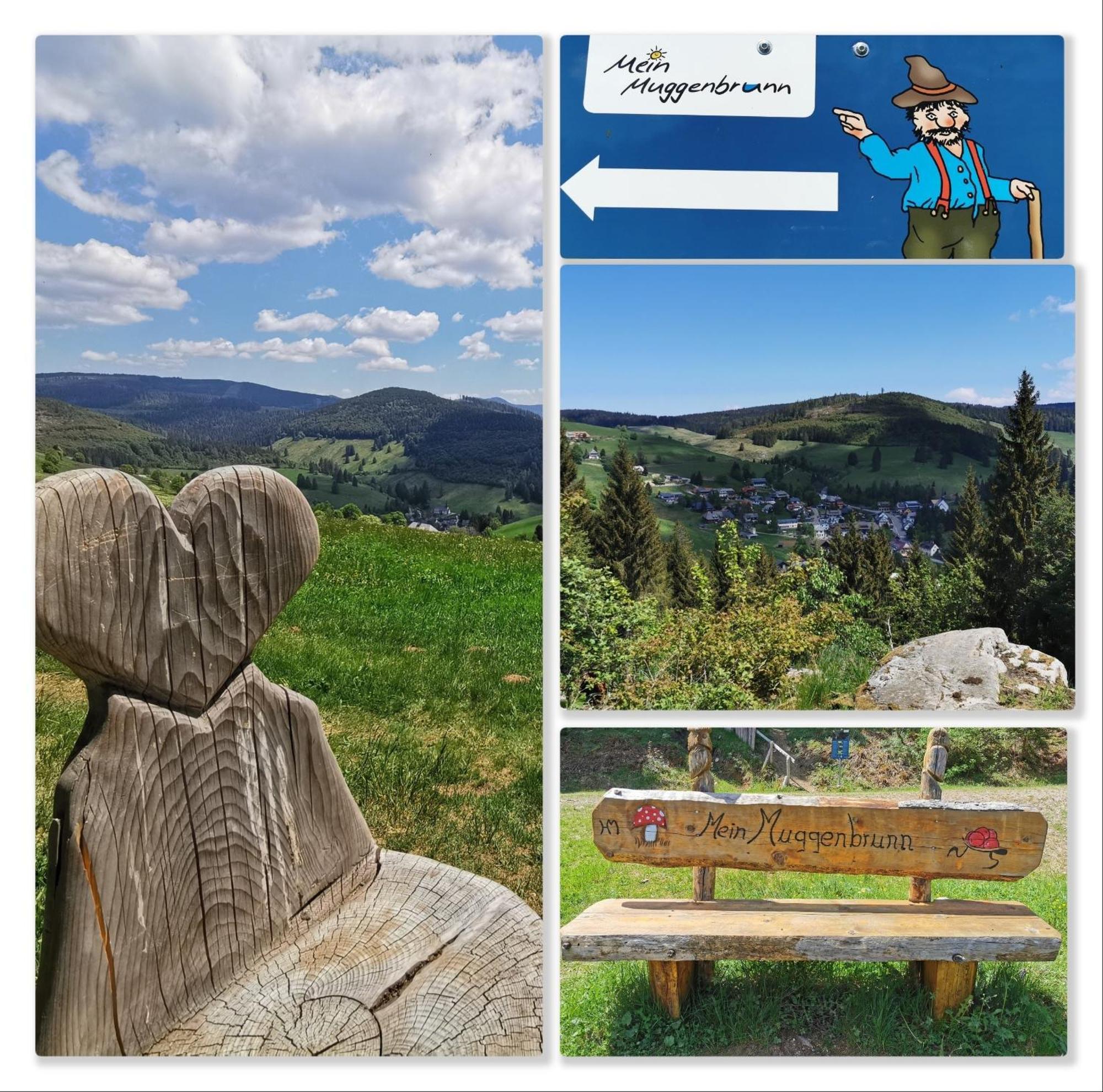 Fewo Schwarzwaldblick, 3 Schlafzimmer Todtnau-Muggenbrunn, Liftverbund Feldberg Exterior photo